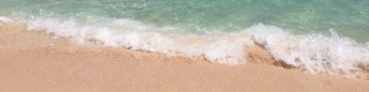 Bermuda Ocean